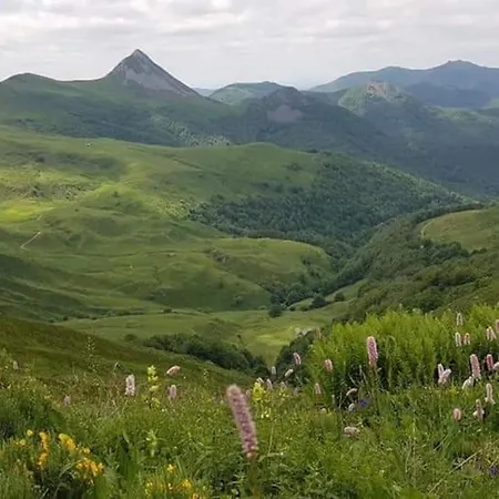 Gite Chaleureux Avec Cheminee Au Pied Du Puy Mary Saint-Paul-de-Salers Exterior photo