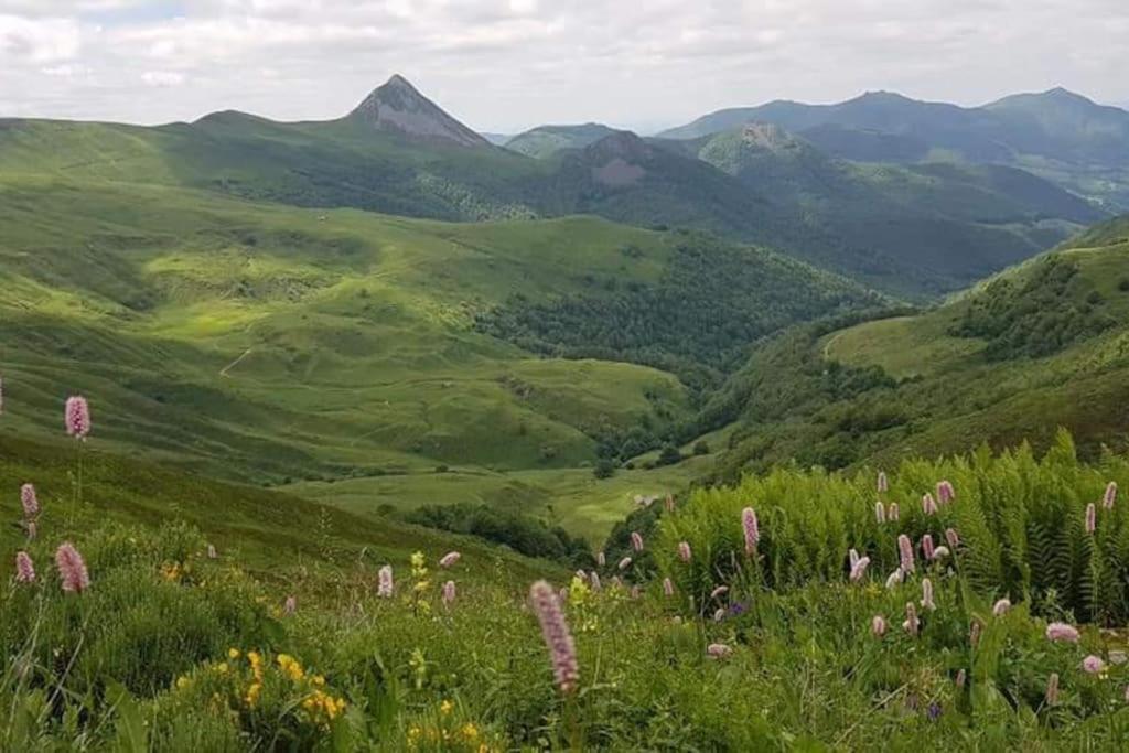 Chaleureux Avec Cheminee Au Pied Du Puy Mary Hébergement de vacances