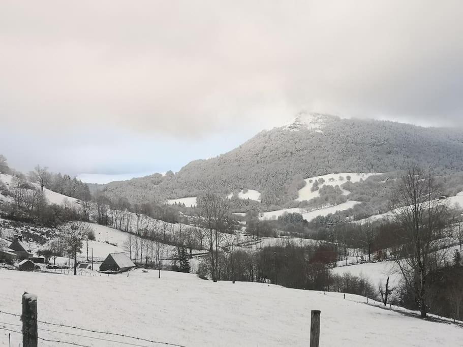 Chaleureux Avec Cheminee Au Pied Du Puy Mary Saint-Paul-de-Salers